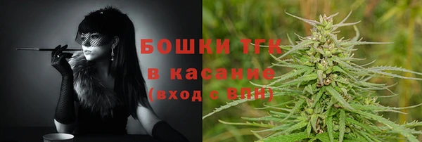 меф Вяземский