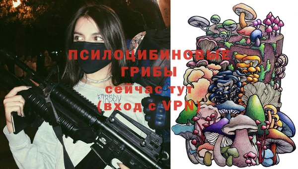 меф Вяземский
