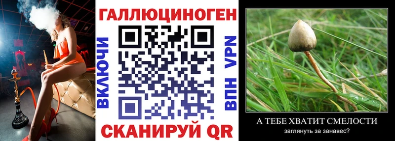 Псилоцибиновые грибы мухоморы  Ярцево 